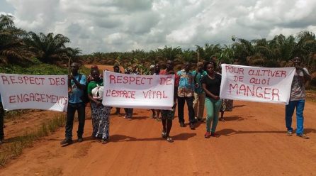 Droit des communautés: La Synaparcam saisit Nestlé Cameroun pour faire pression sur Socapalm