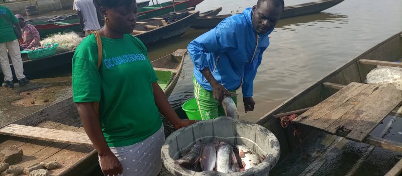 Fleuve Wouri: Comment la pollution tue l’activité des pêcheurs et revendeuses de poissons de Bonassama