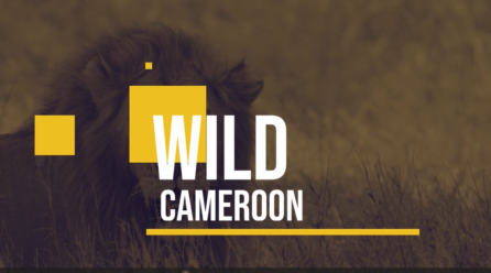 Wild Cameroon, une émission télévisée sur la protection de la nature
