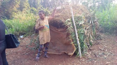 Sangmélima-Ouesso : Quand la route passe, les pygmées disparaissent