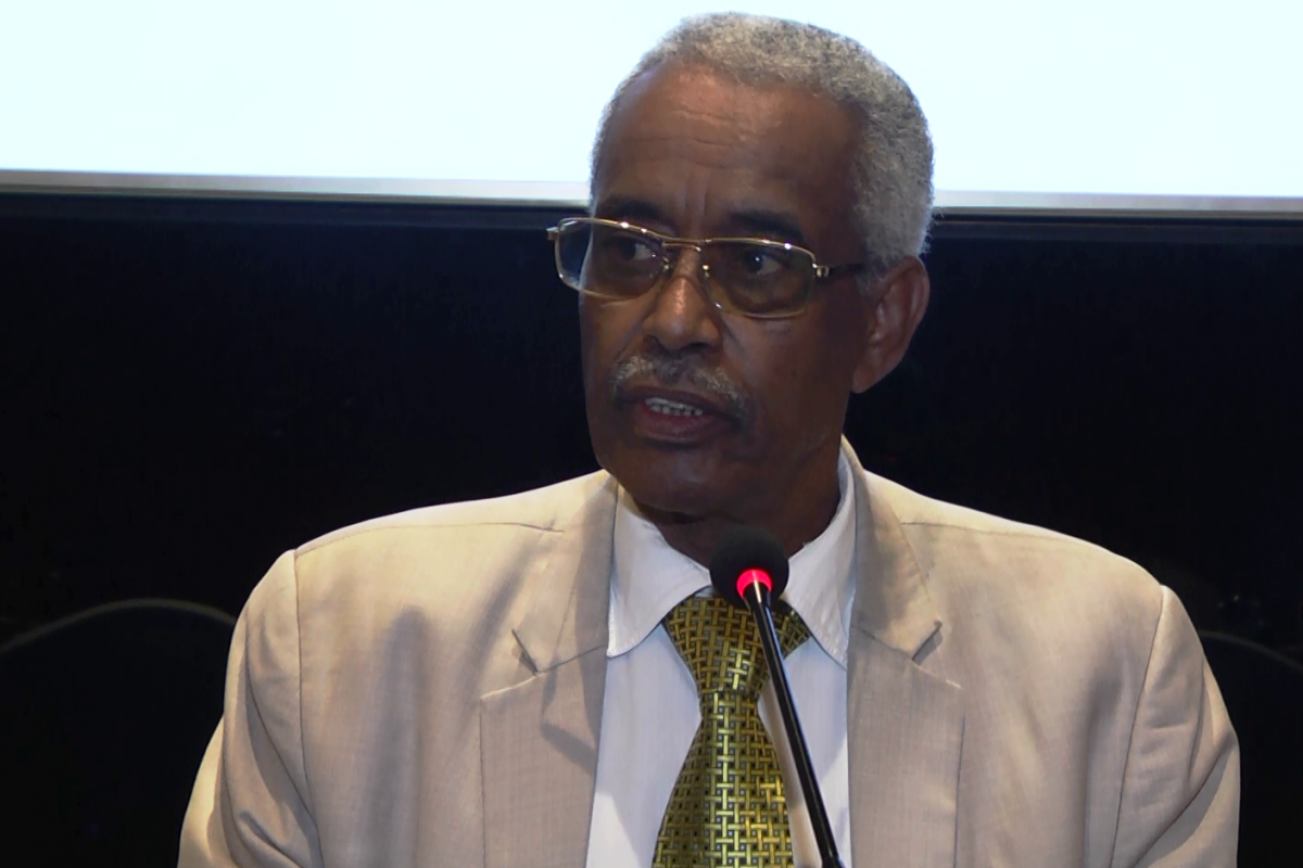 Busera Awel:«Le gouvernement n’intervient pas dans le management d’Ethiopian Airlines»