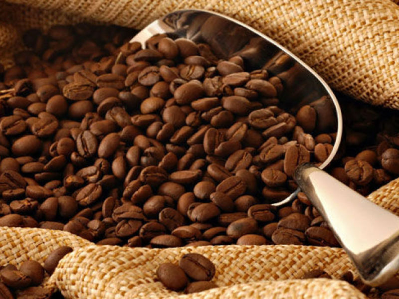 Neo Industry S.a : 32 000 tonnes de fèves de cacao à transformer chaque année