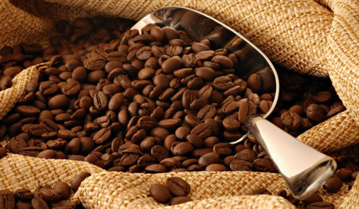 Neo Industry S.a : 32 000 tonnes de fèves de cacao à transformer chaque année