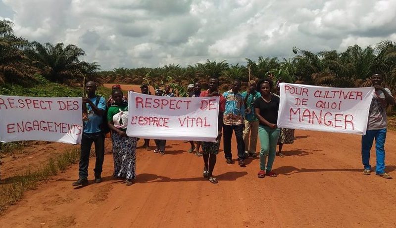 Droit des communautés: La Synaparcam saisit Nestlé Cameroun pour faire pression sur Socapalm