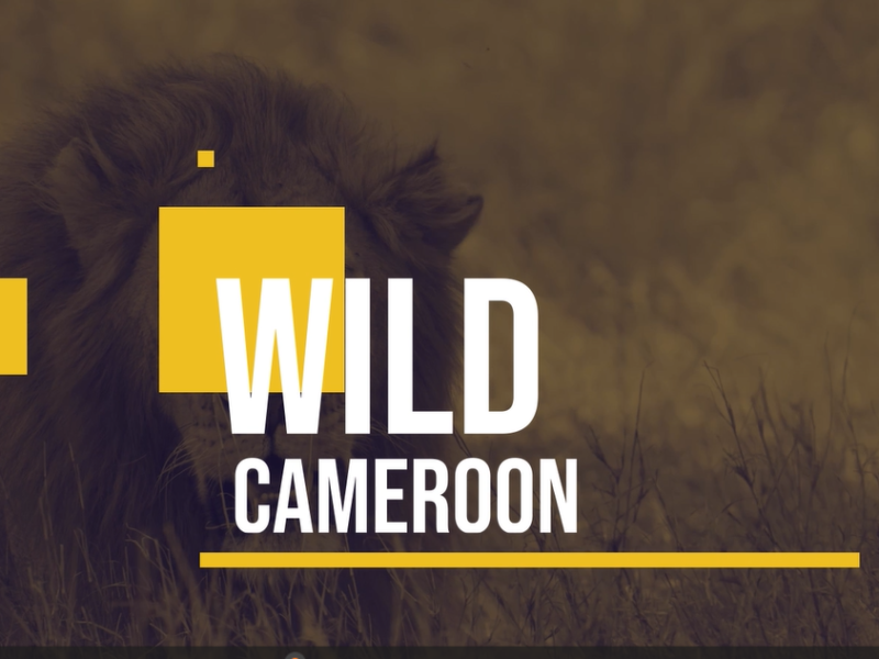 Wild Cameroon, une émission télévisée sur la protection de la nature