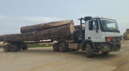 Commerce extérieur : Au moins 2 millions de tonnes de bois transitent par le Cameroun chaque année depuis 2018