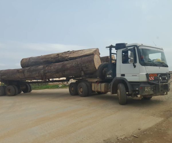 Commerce extérieur : Au moins 2 millions de tonnes de bois transitent par le Cameroun chaque année depuis 2018