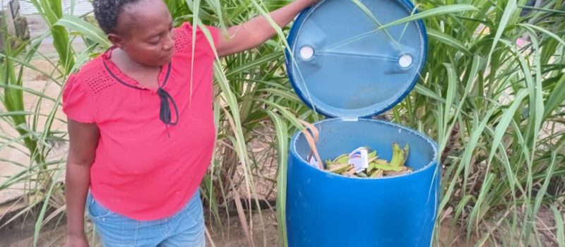 Douala: Huit heures de garde à vue à cause d’un fût de compostage