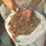 Un des douze sacs d'écailles de pangolins saisis à Yokadouma lors de l'interpellation de trois présumés trafiquants.
